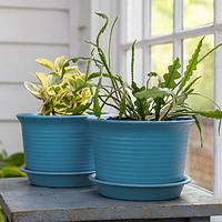 Thumbnail for SET of 2: Medium Round Plant Pot