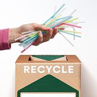 Thumbnail for OfficeCycle Straws - Zero Waste Box™