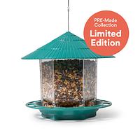 Thumbnail for Bird Feeder