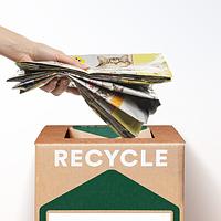 Thumbnail for CafeCycle Pet Food Packaging - Zero Waste Box™