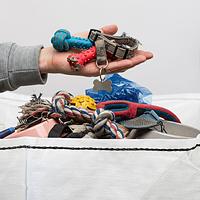 Thumbnail for Pet Products (Non-Food) - Zero Waste Pallet