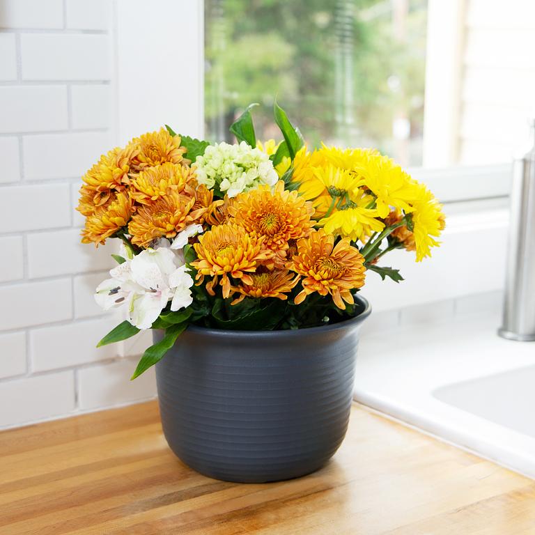 SET of 2: Large Round Plant Pot